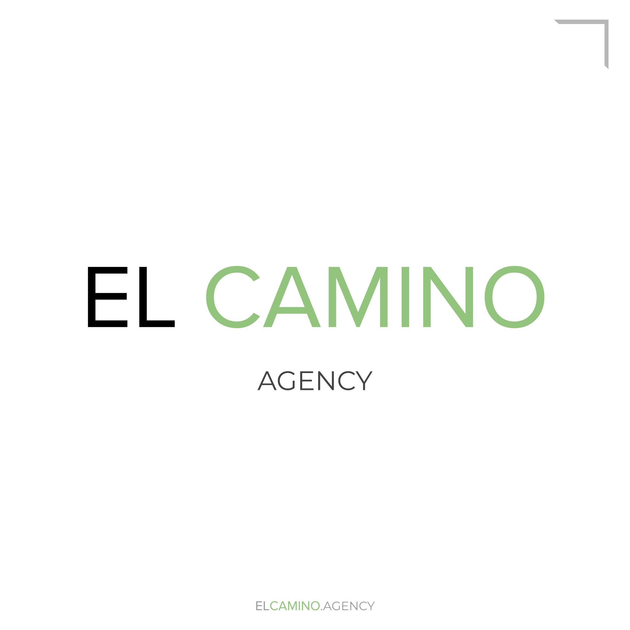 El Camino Agency